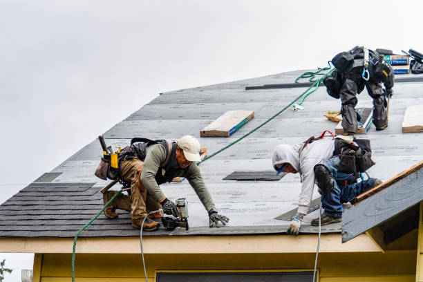 Professional Gutter Installation technician working in Ewing, NE